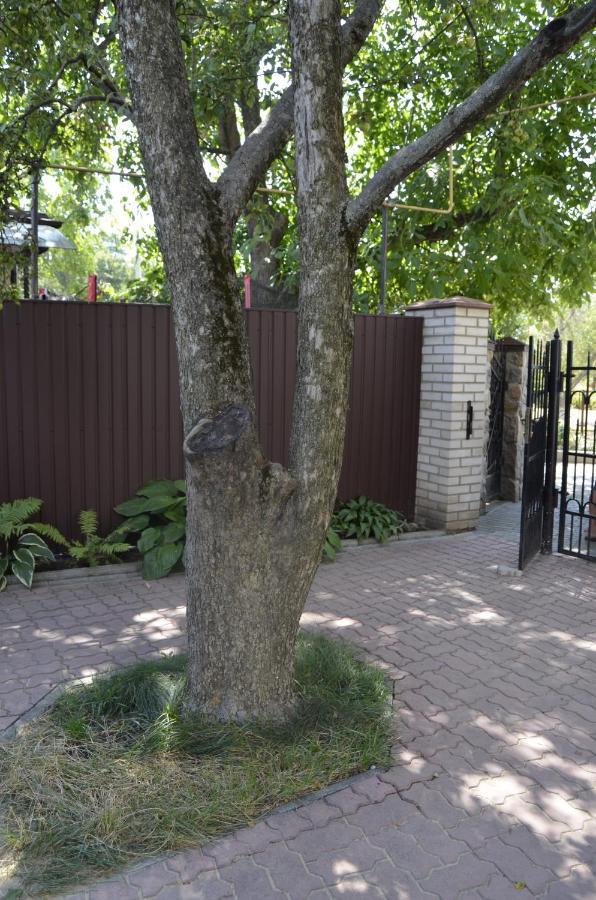 в будиночку біля софіївського парка Apartment